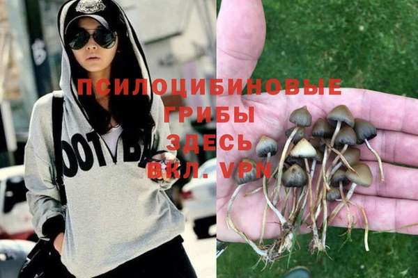 apvp Баксан