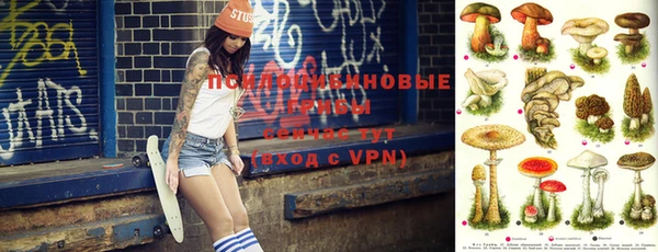 apvp Баксан