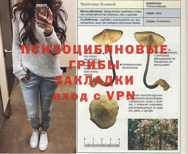 не бодяженный Балахна