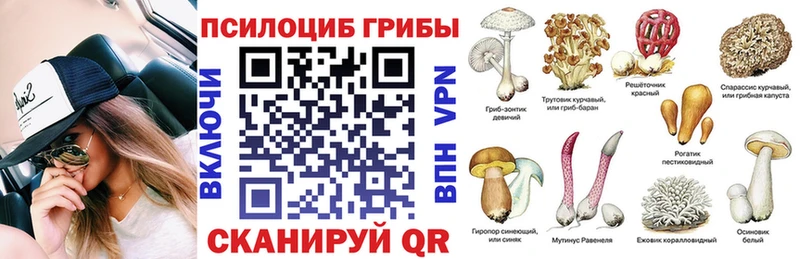 Галлюциногенные грибы Psilocybine cubensis  даркнет сайт  Городище 
